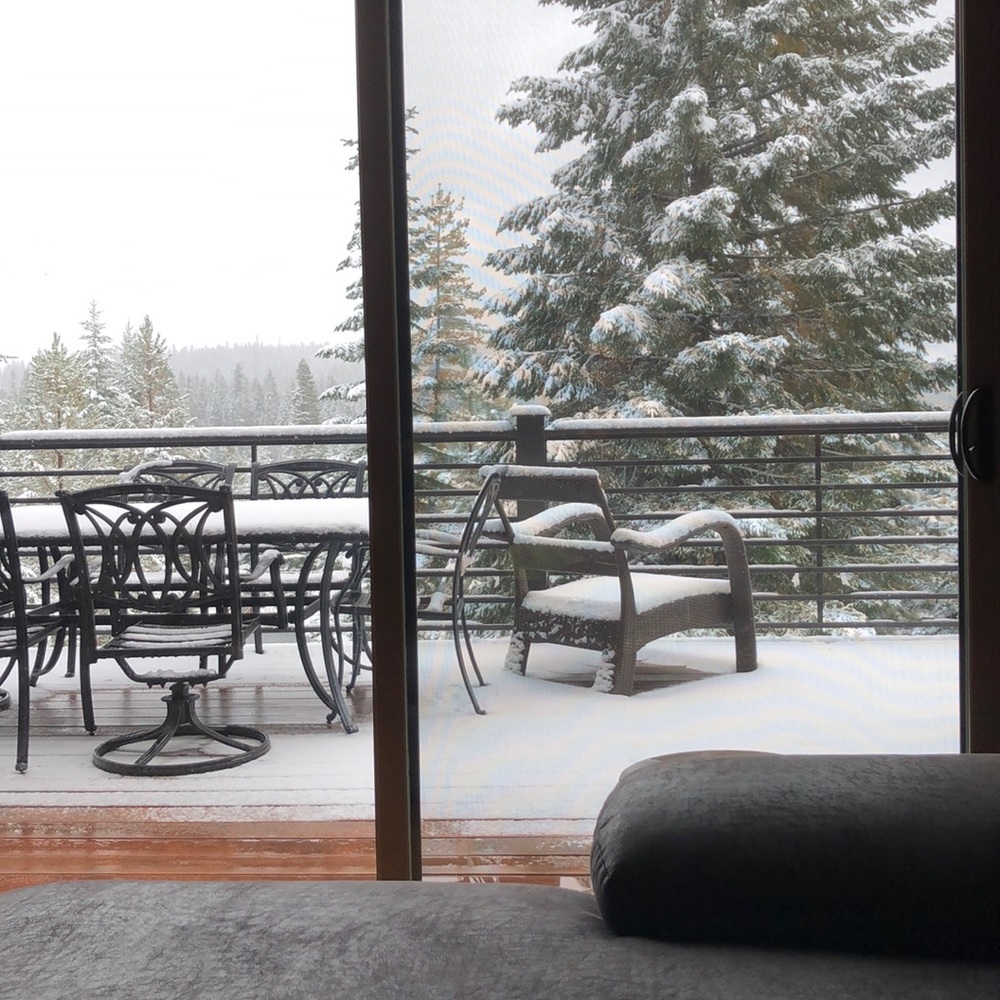 Meet your Posher, Jasmine